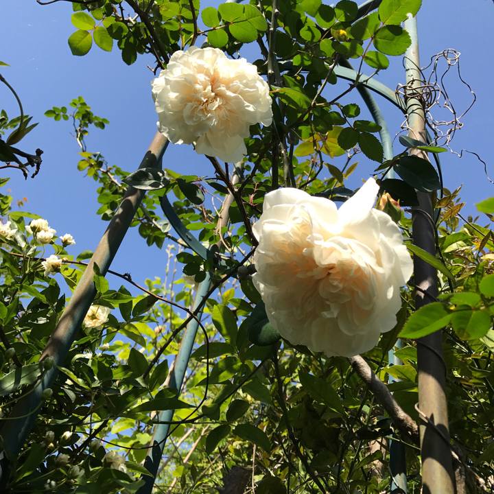 F0c99fe1 6b64 4c2a 9b7b 201f203c4db3