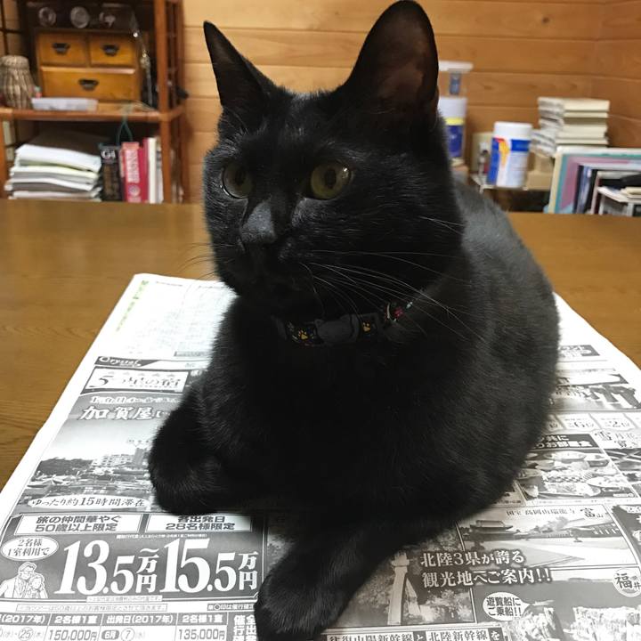 F0ca4192 8f6a 4e31 a700 d3899bd30884