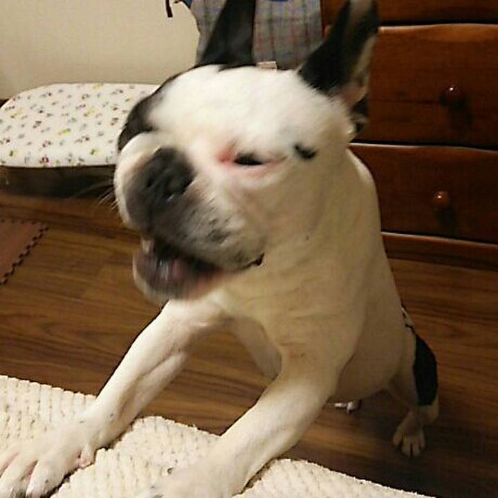 F0caf859 1dc3 450b ab6a 51da4114582b