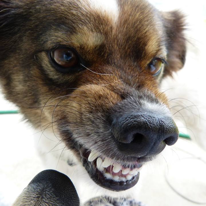 F0cafd93 d525 49c7 909d 5da9ff61a21d