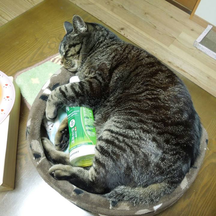 F0cb4521 1523 480d a83e c9838b5d0681