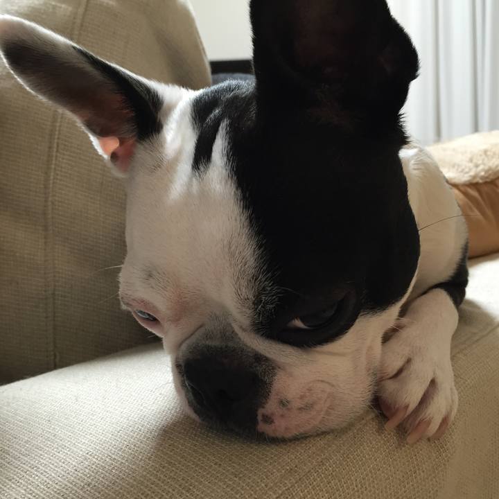 F0cc6f50 0ddd 42b5 a9ac 7adbaa5a0665