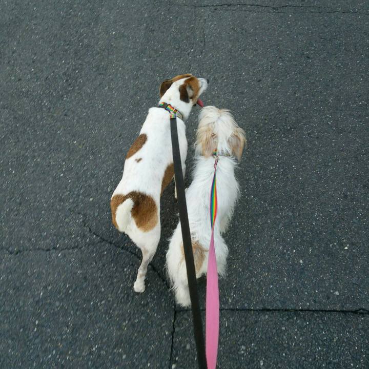 F0cc75e3 af79 4441 8975 e079c580307c