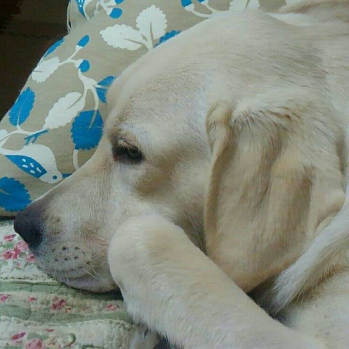 F0ccea77 7ed1 492a 932d 739605fb66fb