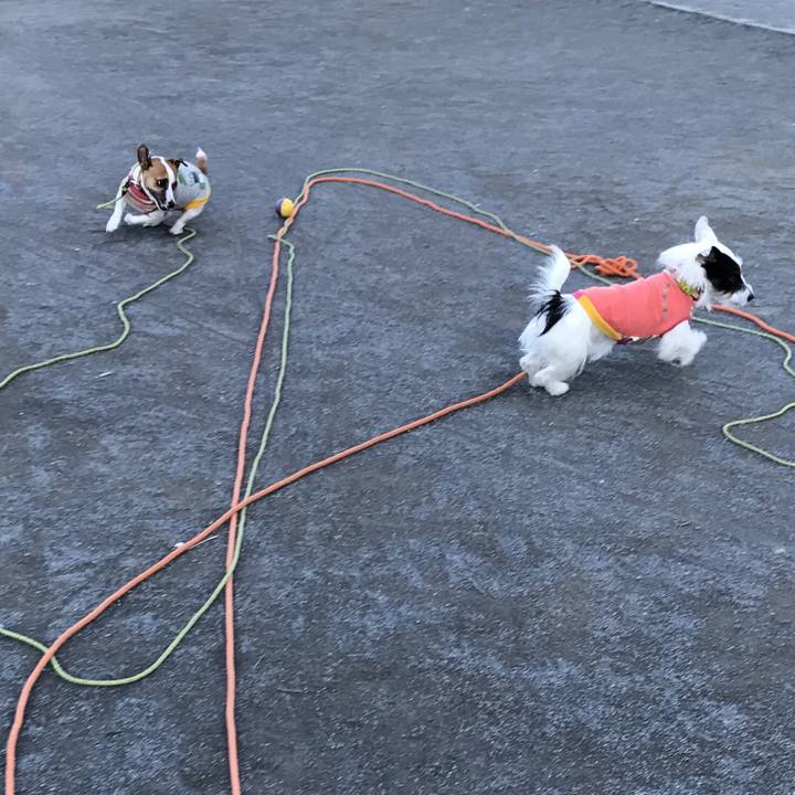 F0ccfba1 fedc 4bf0 abfc 8b11bd46ab4c