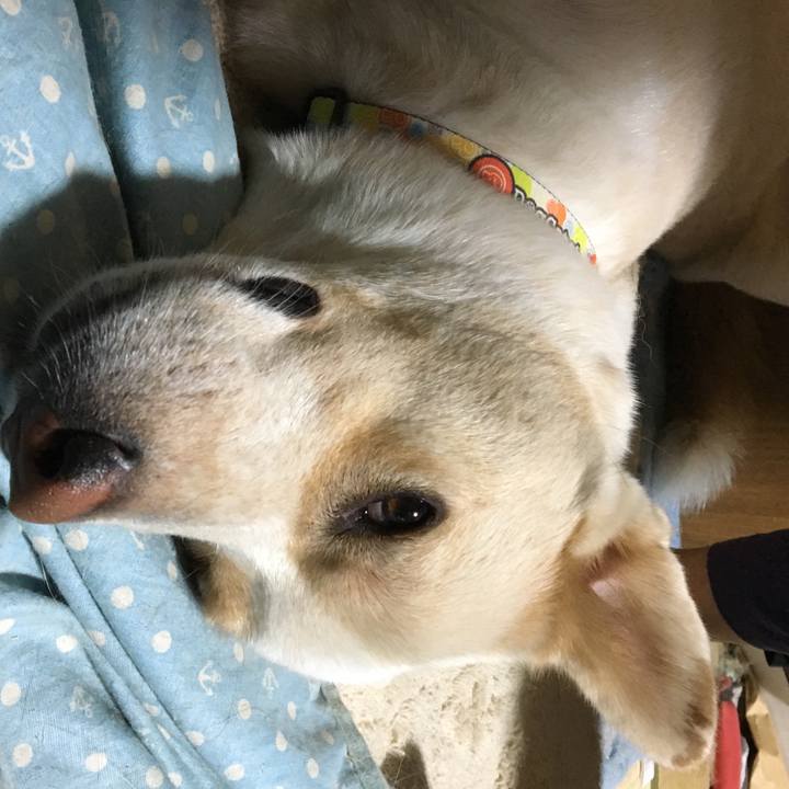 F0cd4f3c 1ed6 46e0 a96e 290b7b63f232