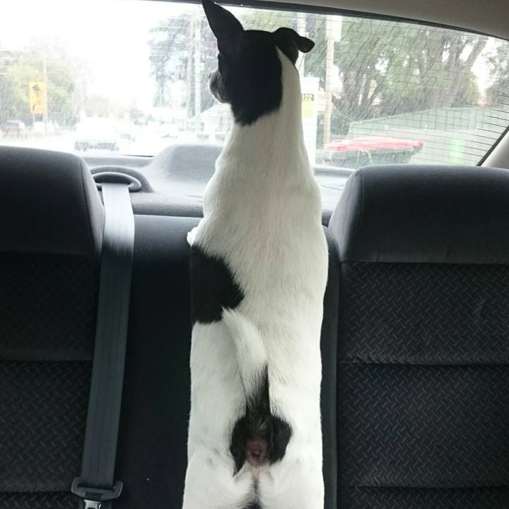 F0cef4e0 8cb2 4ab6 9fd1 6e8b4ac1cd52