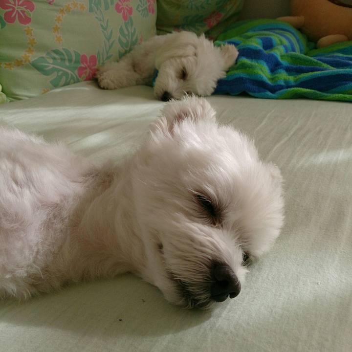 F0ceff86 2486 4096 ad84 7c76d6d024c4