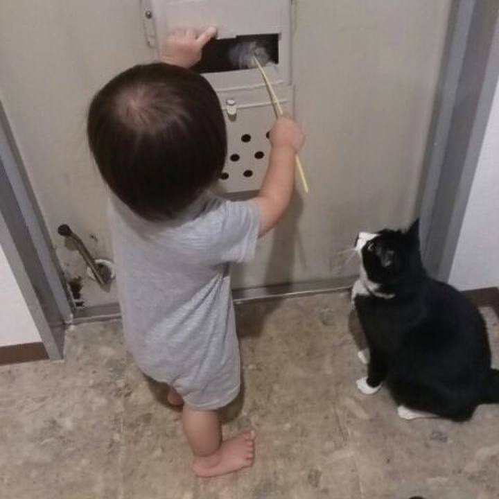 F0cf02ce 148e 49b8 9560 144bf052ed35