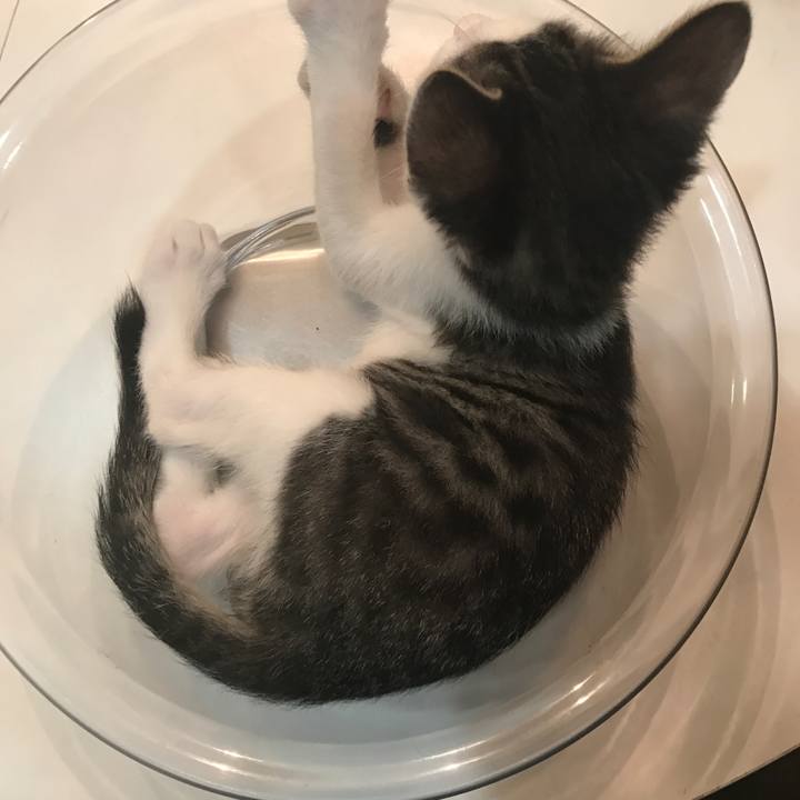 F0cf54e2 5972 46f7 8807 4e4a8c214c46