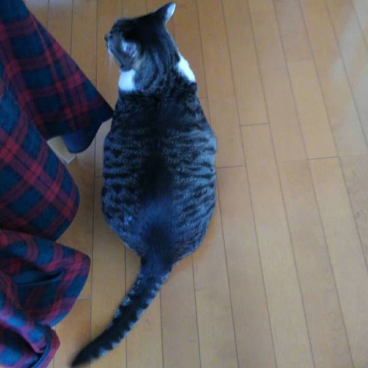 F0cfc297 90f4 4174 9d61 981d46ae15a5