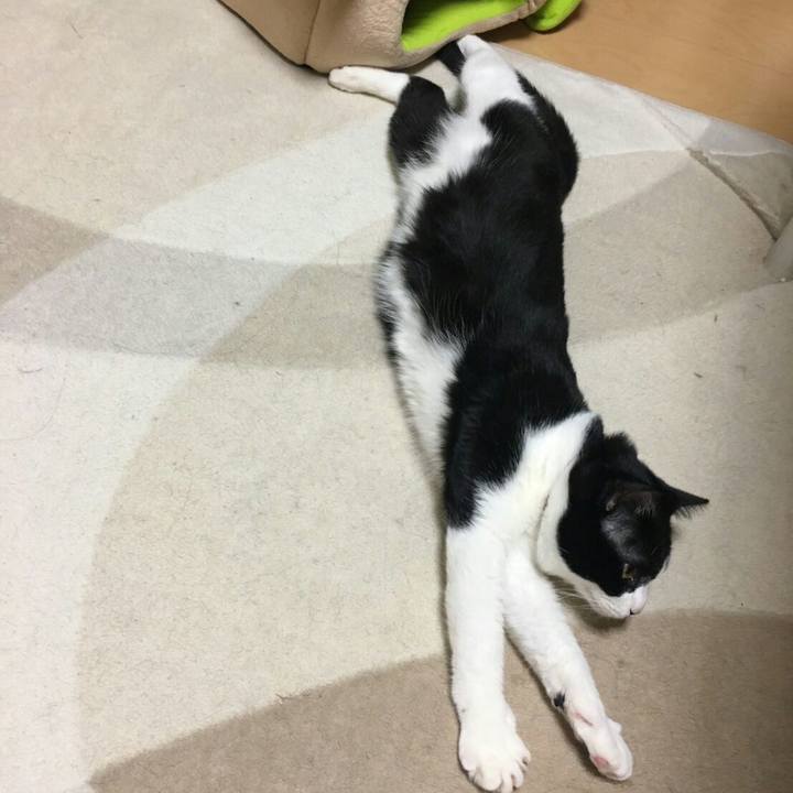 F0d02c18 6776 4e55 9fd8 5422f4d7f93c