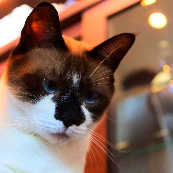 F0d075c2 45e9 47f9 b6ab 2abf3da5a042