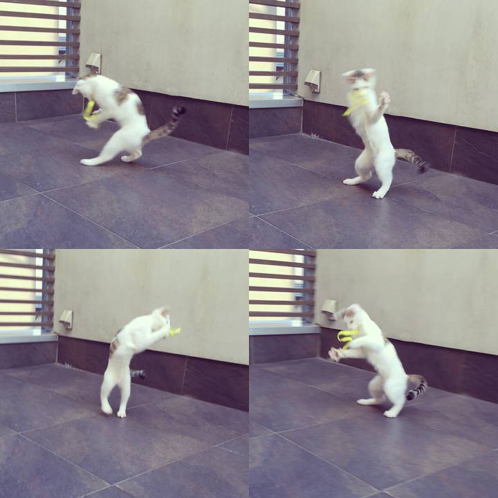 F0d08941 cc7f 4c00 9b26 2232e53779e3