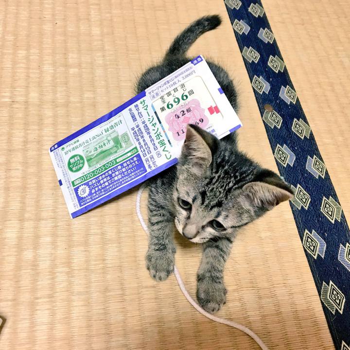 F0d14491 40d7 4a4c 8d08 e863dabf00b0