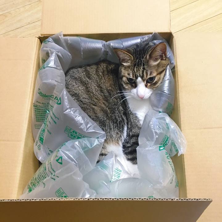 F0d24ac6 e563 42ab 93f8 da37df6fbd95