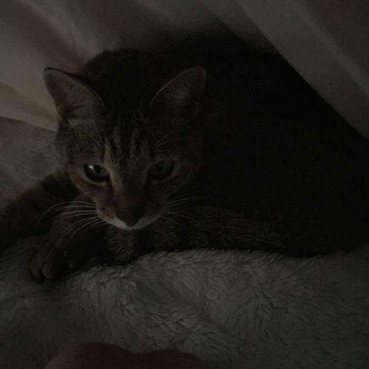 F0d2ae85 a0f3 477d 978f c3a7da9da1ee