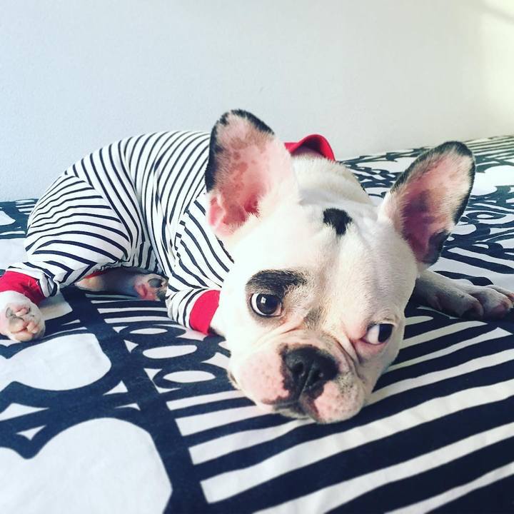 F0d2c61f ba86 4785 976c e2de2709a728