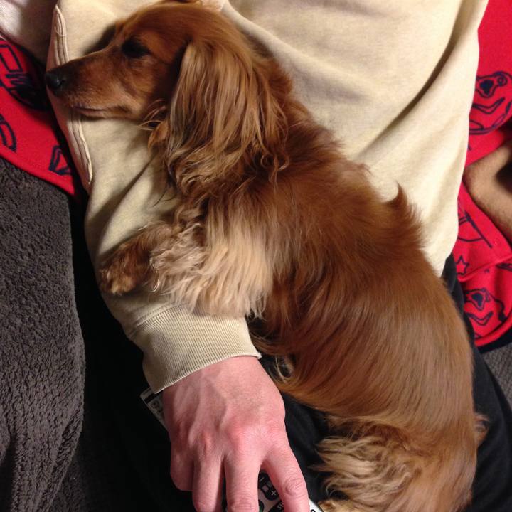 F0d31d98 9a56 4890 a06a c0115cf29d54