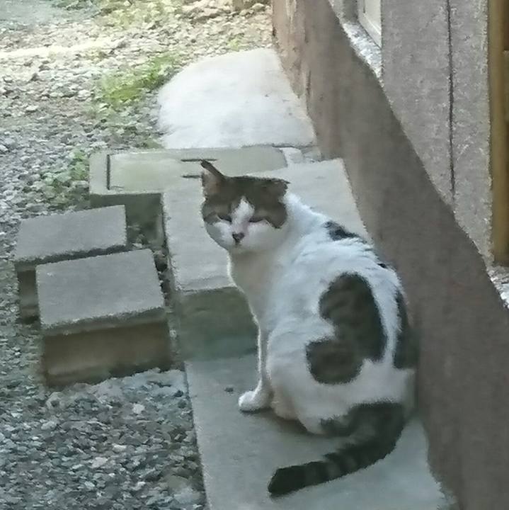 F0d36b2c d824 4d75 9879 3b414d577260