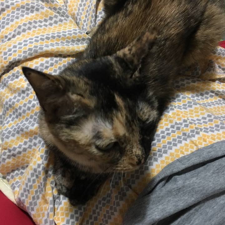 F0d40b52 fed8 464f 96e0 792f1af2d0af