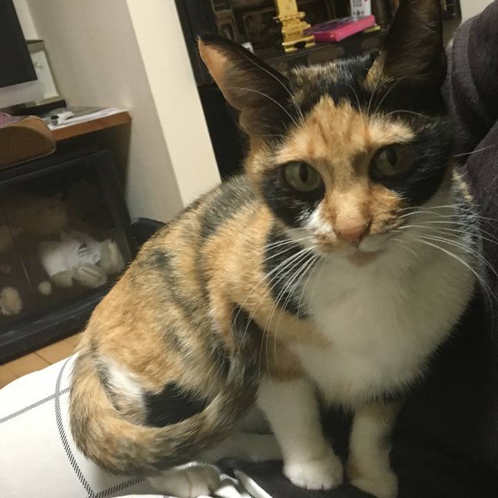 F0d45c2e ee39 4684 8da7 8519a7b2878e