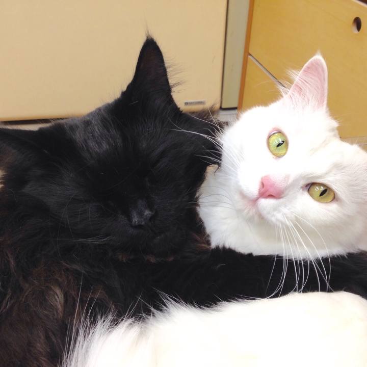 F0d4ec9c 7063 497d b78e 5c45b732b971