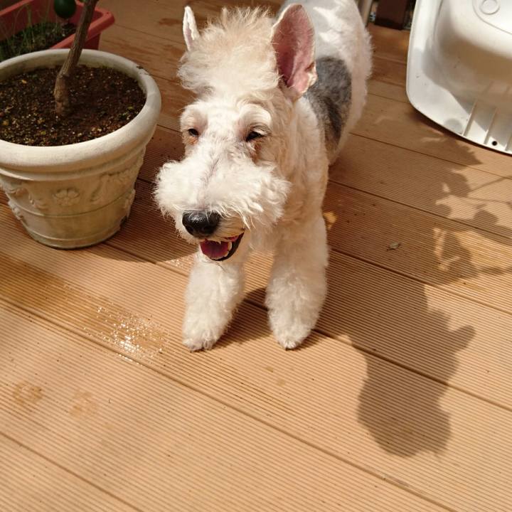 F0d57983 ff79 4fad 811d 452f3bb4b4dd