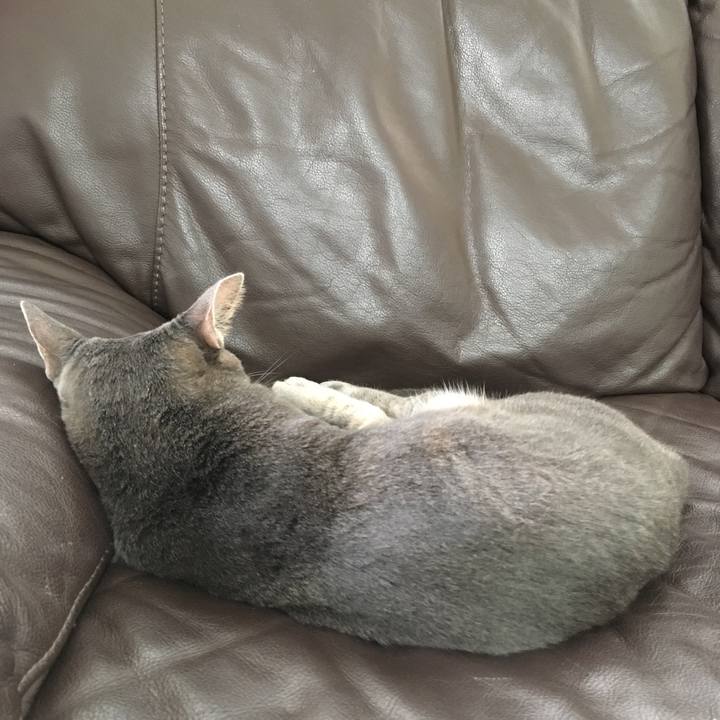 F0d5efd1 ce5a 44a7 9b6e 99d124206606