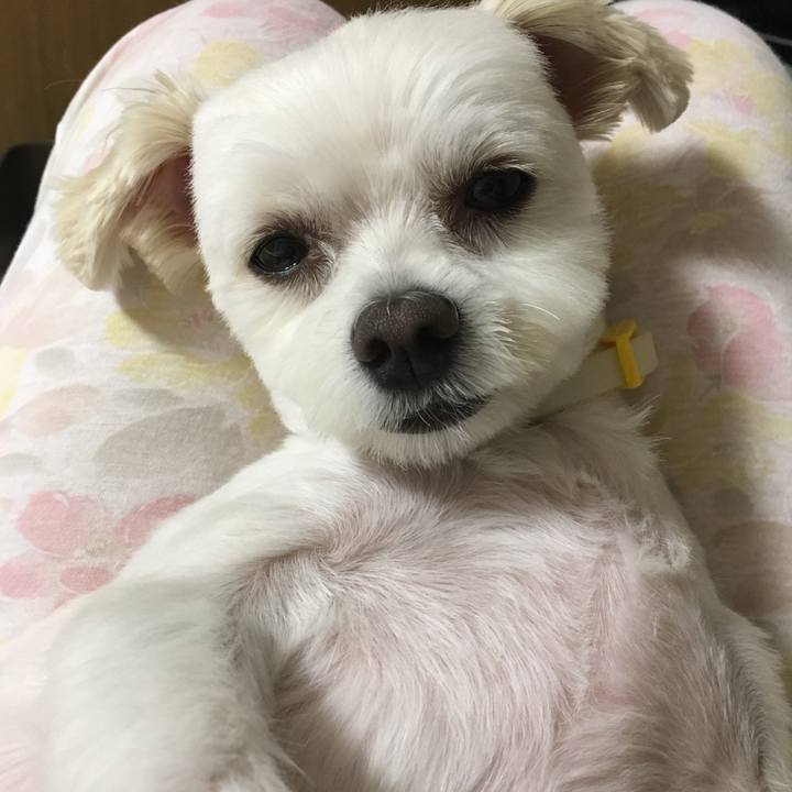 F0d60c23 a928 43c4 b54b 057c7bd5f22d