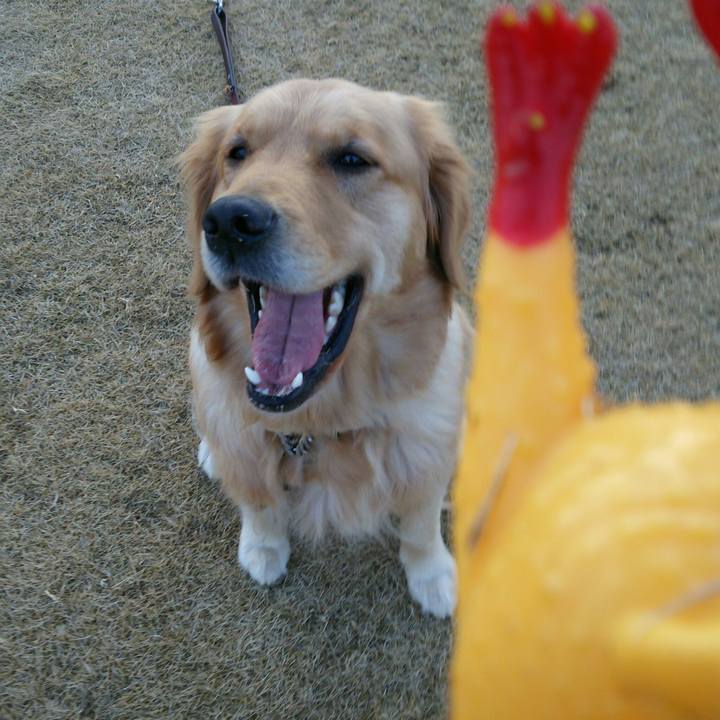 F0d60fb0 66e2 4ce1 a33d f17d45dc974f