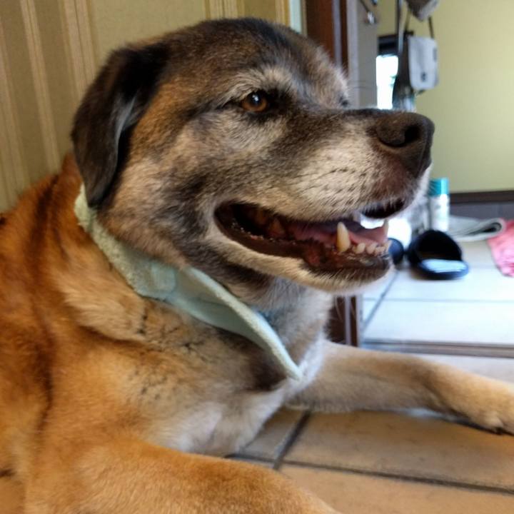 F0d6c25f 306b 4d95 9a66 cf383d898f78