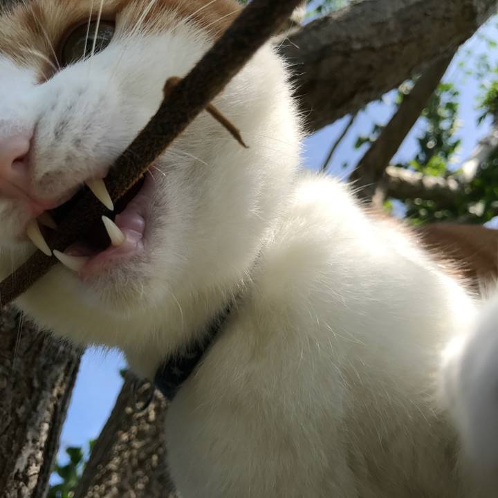 F0d6d546 61d0 493c 80dd f0bfdbb26f0f