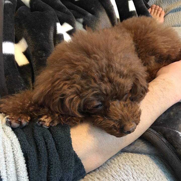 F0d7393d 68e0 47cb aff3 2ce3b2736600