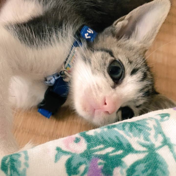 F0d862b4 cf1e 4d57 a840 2496d1097d70