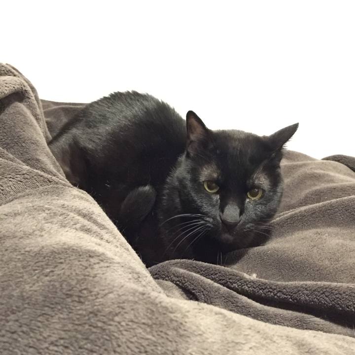 F0d8bd7e a725 41e7 a453 4e8f4aed3fa4