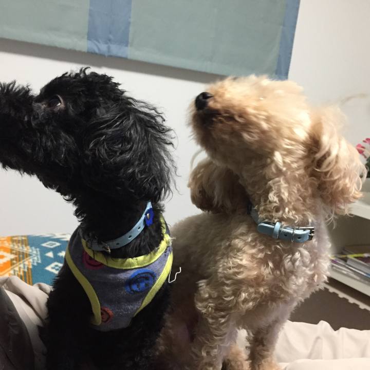 F0d8e3db ac81 4087 a347 c64e7e5ed558