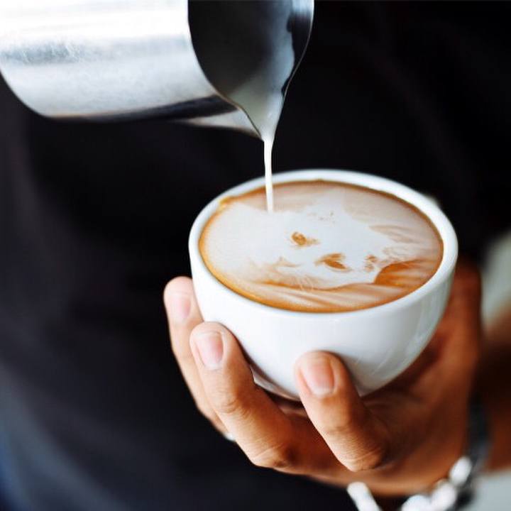 F0d98378 99a7 45fb a93c fcba00a79f66