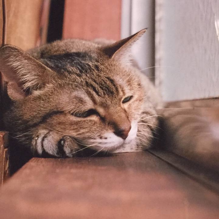 F0d9abec 585c 4998 8982 2ba313f9dba5