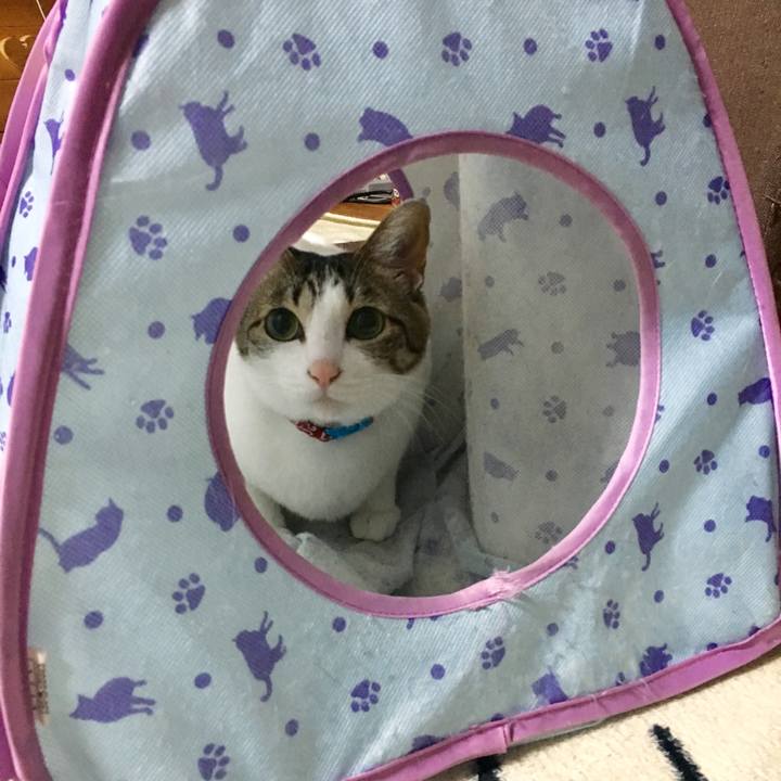 F0da4152 9826 4939 982b 5744d39a483d