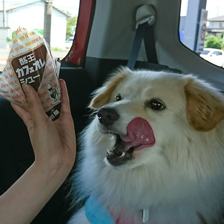 F0da5178 3e4c 49b8 b382 e64ef236bff4