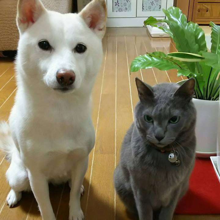 F0da7079 2a02 49ca 8012 abf441aae61c