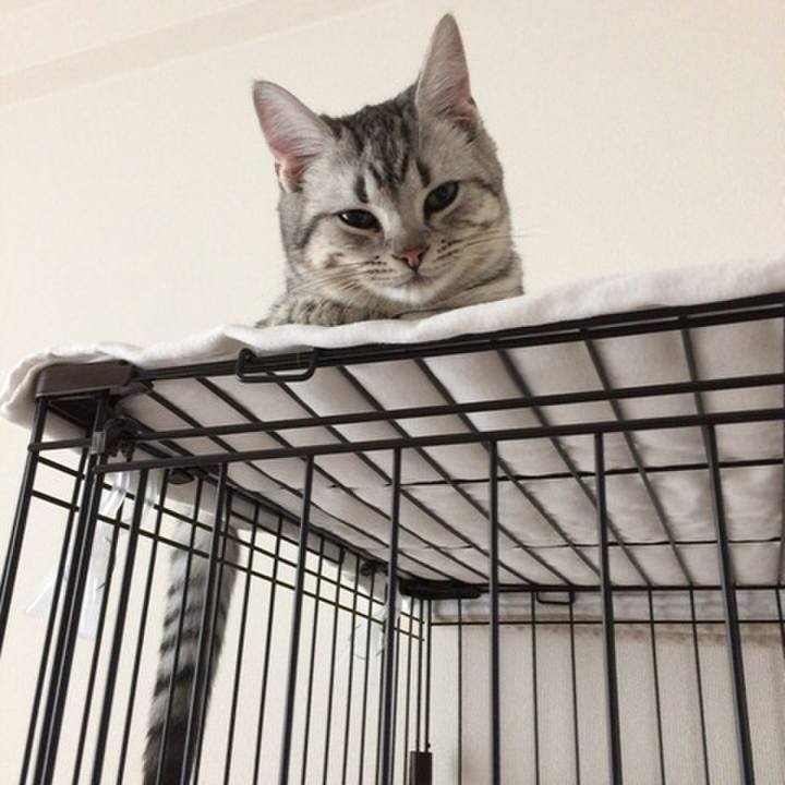 F0db19b4 d5f7 4bf4 ab0e 15a629c80f31