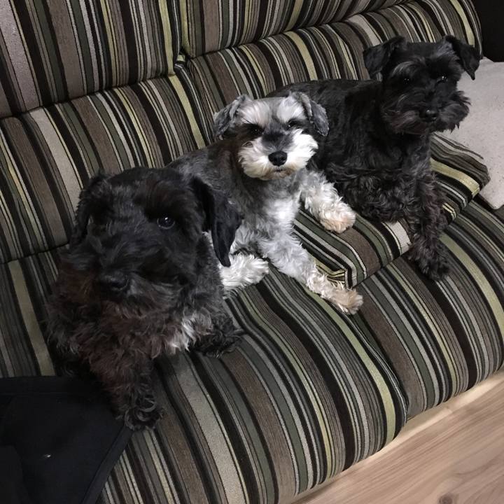 F0db350e a0f6 42b4 9c12 6db15671442f