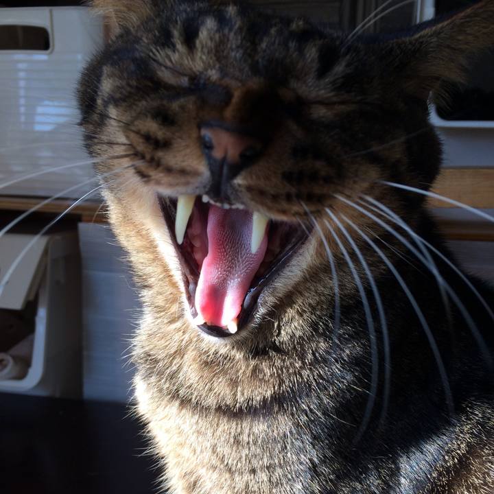 F0db4eae 4d45 4973 8949 e7ddc2291309