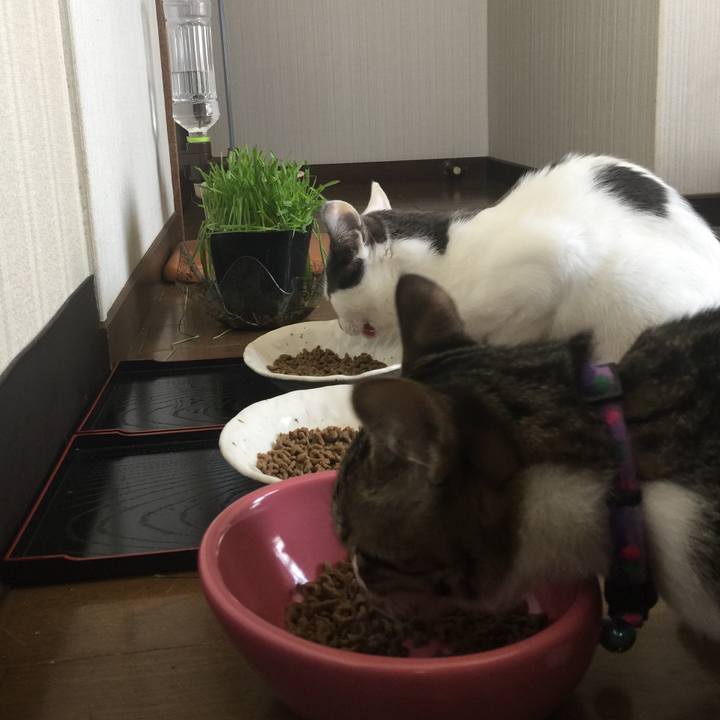 F0db5deb a7e7 4898 bec6 a1a039dd60ef