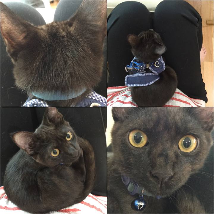 F0dc063f bf0b 47b8 915e d662b5bcc7e7