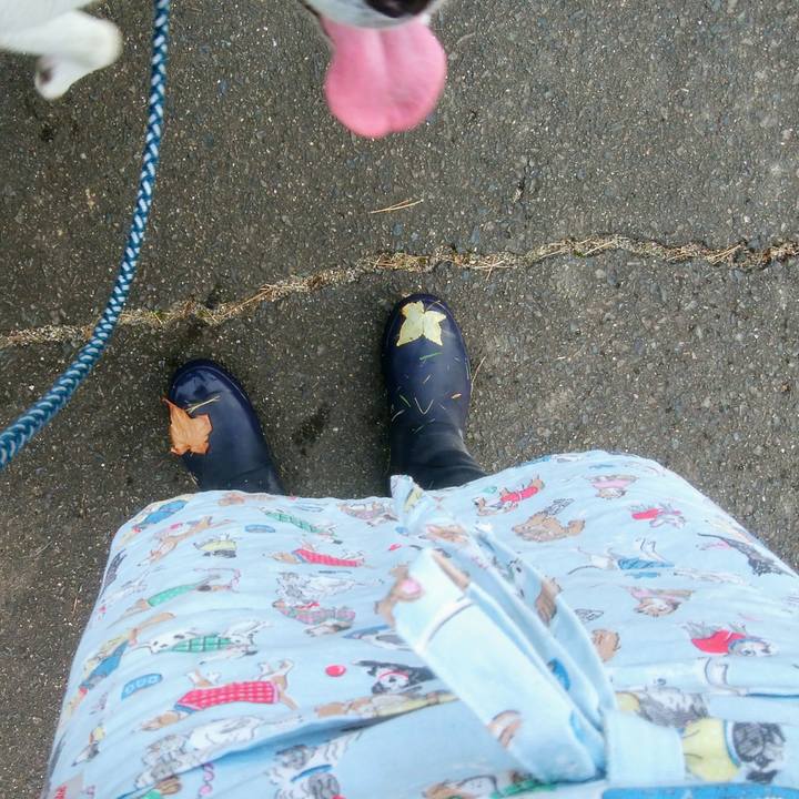 F0dc3206 209b 4458 9a40 a7537d4191bb