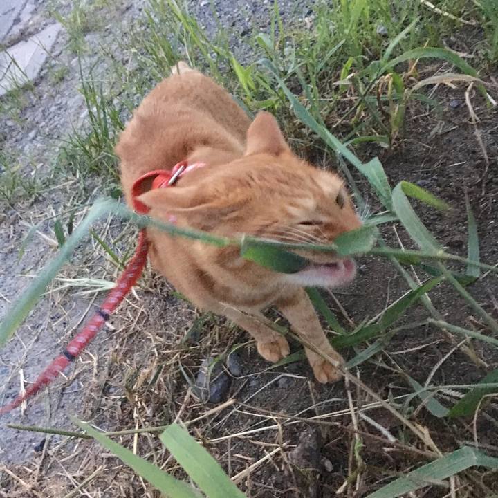 F0dc8cdc 7086 41f9 b44e b09c313dc846