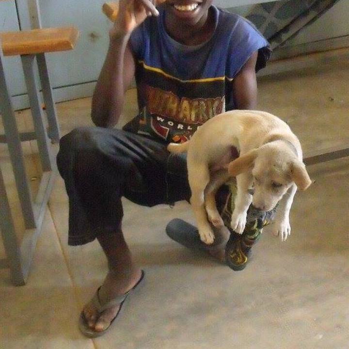 F0dccab7 92e2 4d72 afe3 69b08c11ae5e